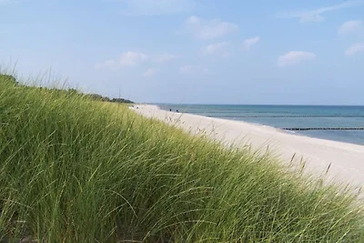Achtern Diek am Meer
