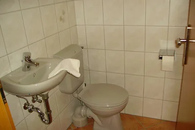Möwennest