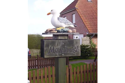 Möwennest