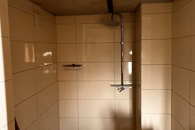 Große Schwalbe