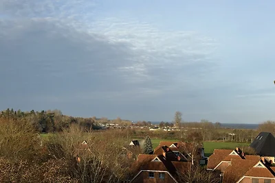 Berolina 401 - Moin Moin