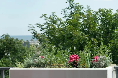 Berolina 314 - Meeresflüstern