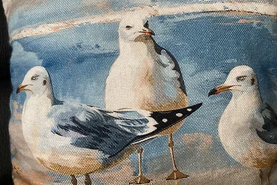 Möwennest