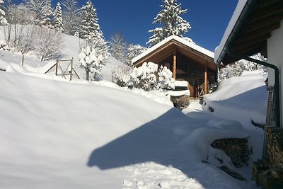 Domek letniskowy Tyrolerblick
