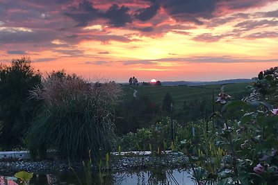 360° The view