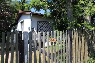 Waldgeflüster