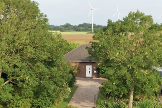 Sensatoneel Huis