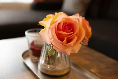 (DKK11B) Ferienwohnung Seegras F***