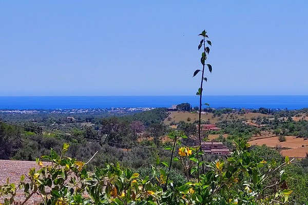 Vakantiehuis Cas Concos