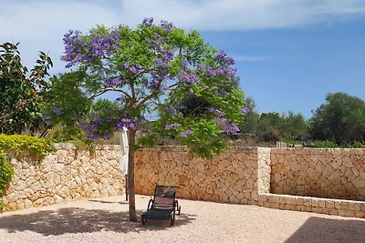 Finca Gran Valenc