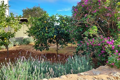 Finca Gran Valenc