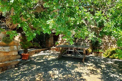 Finca Can Ramon