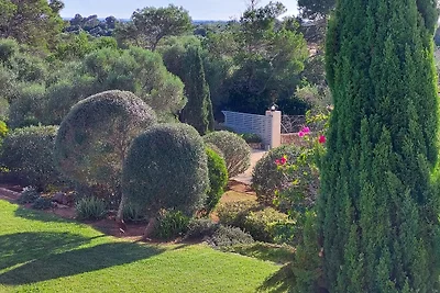 Finca Gran Valenc