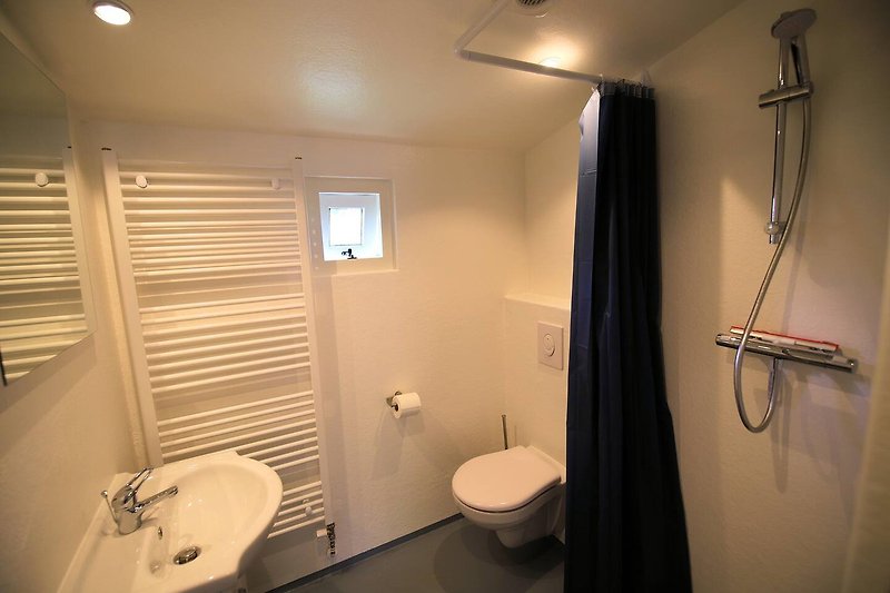 Badkamer met douche, toilet en wastafel.