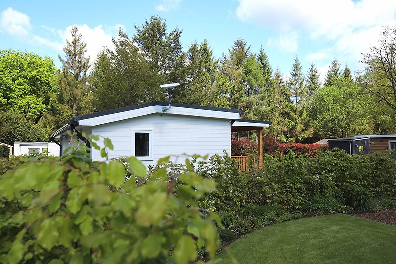 Prachtig huisje met een groene tuin en een landelijke omgeving.