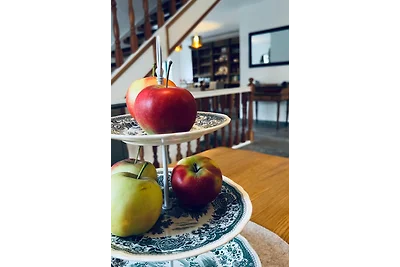 Traubenhof „Ferienhaus groß“