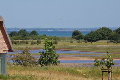 Vakantiehuis Ontspannende vakantie Nieby