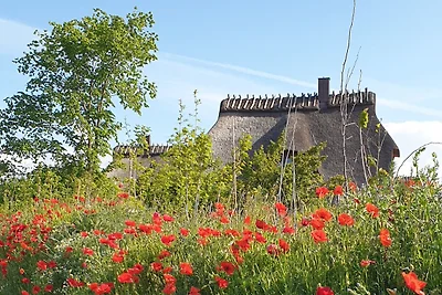 Reetdorf Künstlerkate Herbststurm