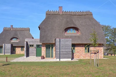 Reetdorf Künstlerkate Sommerregen