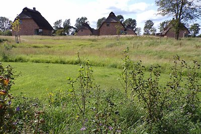 Vakantiehuis Ontspannende vakantie Nieby