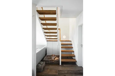 Reetdorf Künstlerkate Wildpferd