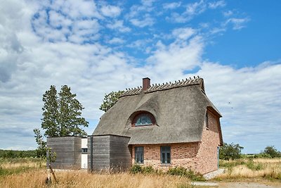 Vakantiehuis Ontspannende vakantie Nieby