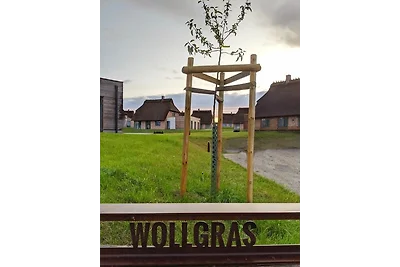 Reetdorf Malerhaus Wollgras