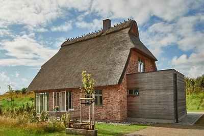 Vakantiehuis Ontspannende vakantie Nieby