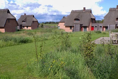 Vakantiehuis Ontspannende vakantie Nieby