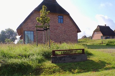 Reetdorf Malerhaus Landspitze