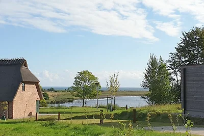 Reetdorf Künstlerkate Reiherente