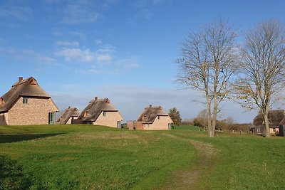 Vakantiehuis Ontspannende vakantie Nieby