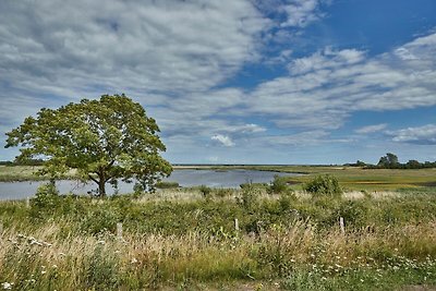 Vakantiehuis Ontspannende vakantie Nieby