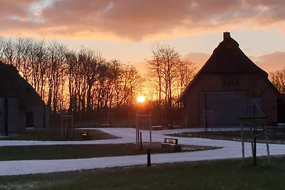 Reetdorf Künstlerkate Rohrsänger