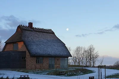 Vakantiehuis Ontspannende vakantie Nieby