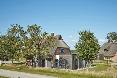 Reetdorf Atelierhaus Sandbank
