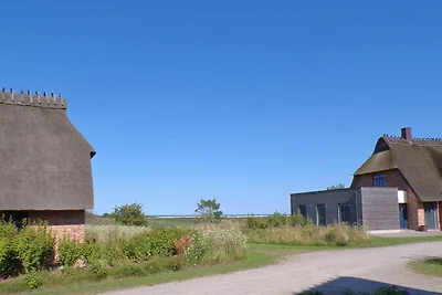 Reetdorf Malerhaus Wollgras
