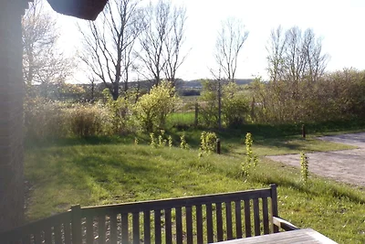Reetdorf Künstlerkate Wetterleuchten