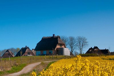 Vakantiehuis Ontspannende vakantie Nieby