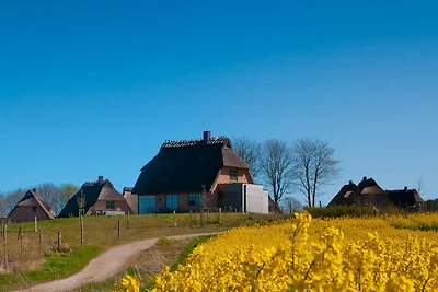 Reetdorf Künstlerkate Lagune