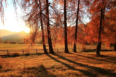 APARTMENT LATEMAR CASA ALMA