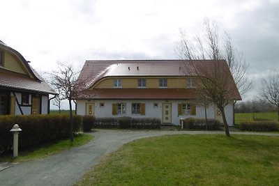 "Strandläufer" auf Rügen
