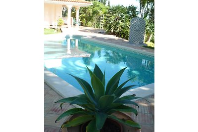 Casa Terra Nova