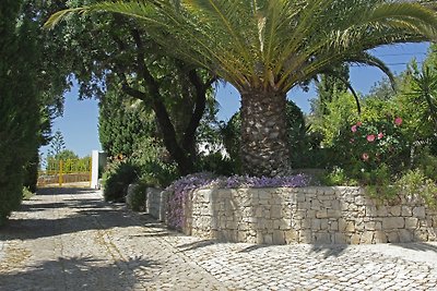 Casa Terra Nova