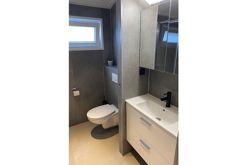 Badkamer voorzien van extra toilet, (stort) douche en ruime wastafel met spiegelkast.