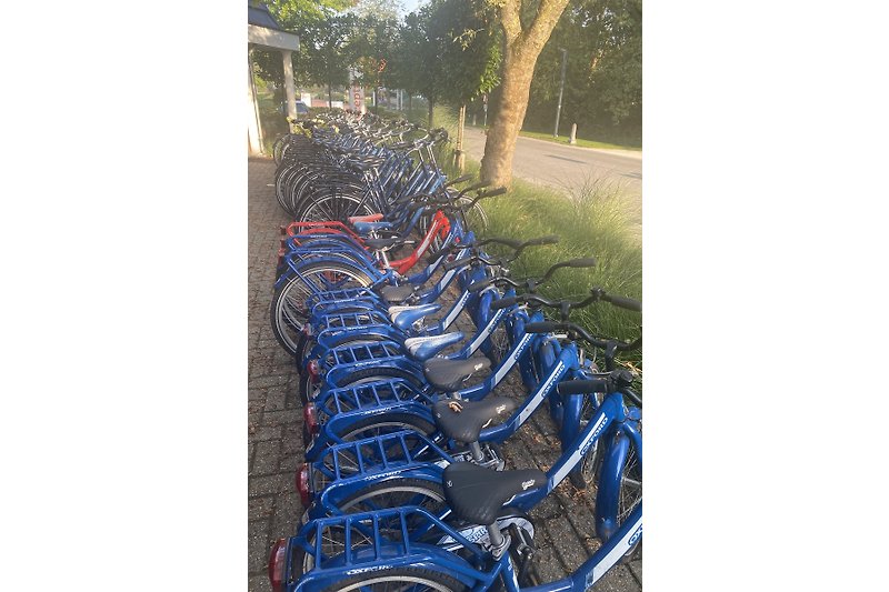 Ga met de wind in de haren op avontuur en ontdek de Veluwe. Er zijn gewone fietsen, kinderfietsen en e-bikes te huur.
