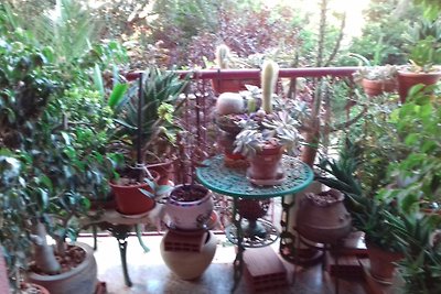Privat Wohnung