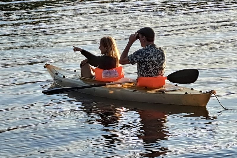 2 2 persoons kano's zijn vrij te gebruiken