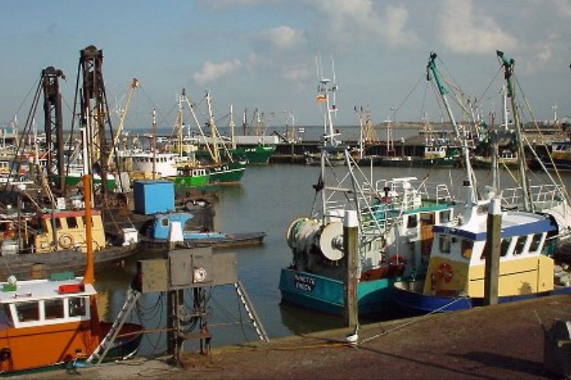 In het havenstadje Den Oever kun je heerlijk verse vis eten