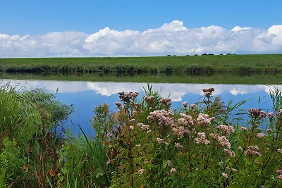 De Blauwe Reiger